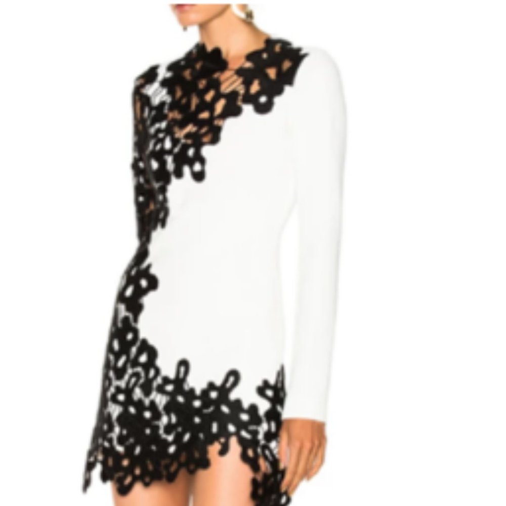 Guipure Lace Sheath Mini Dress